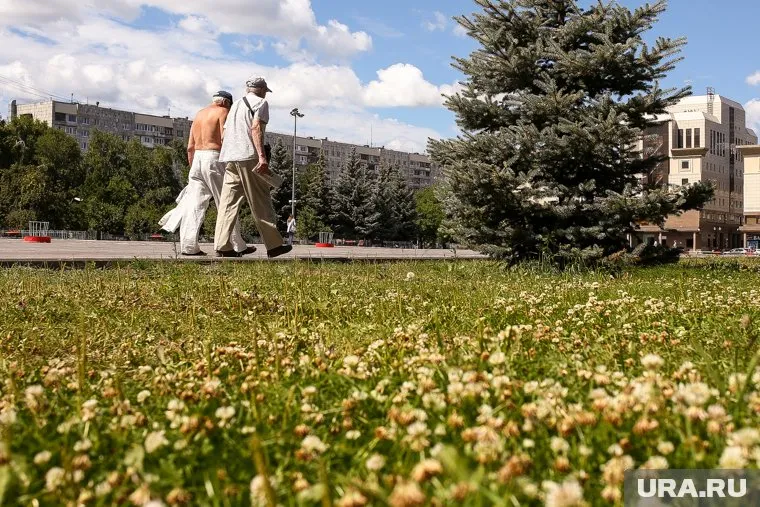 Пенсионеры смогут получать пенсию в беззаявительном порядке, сообщили в Министерстве труда