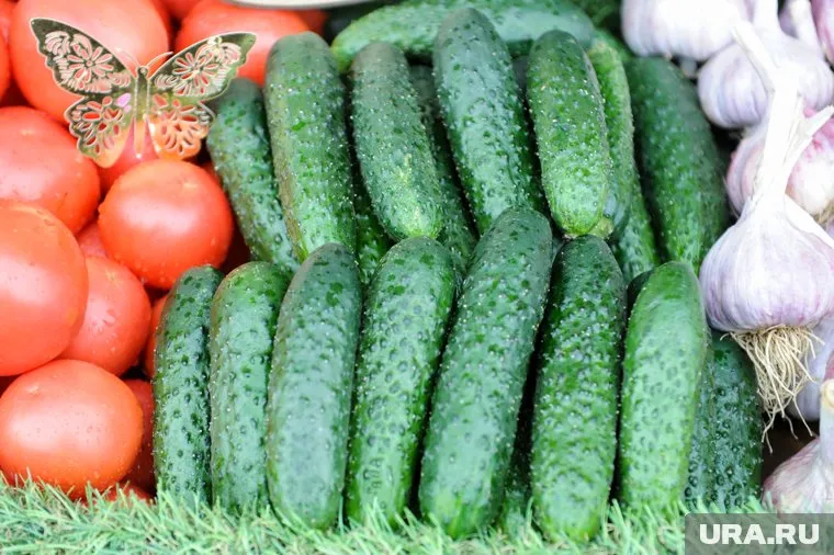 Цены на огурцы в Челябинске в среднем выросли на 30% за год