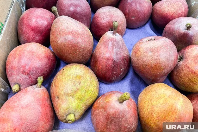 Китайские груши пришлось вернуть в Казахстан