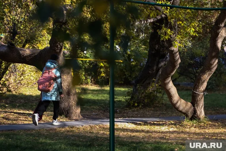 Дети в Тюменской области бесследно пропадают с 1995 года