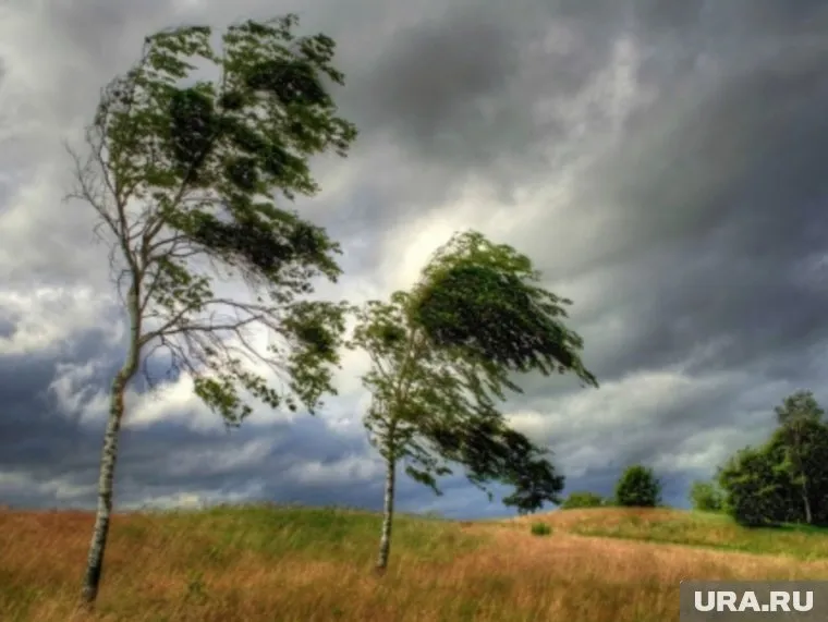 Новый ураган ожидают на Урале