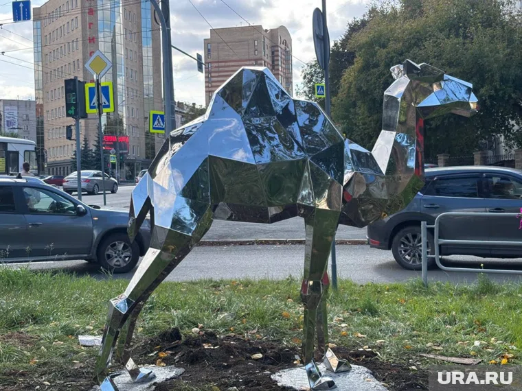 Верблюд будет стоять на мраморной крошке