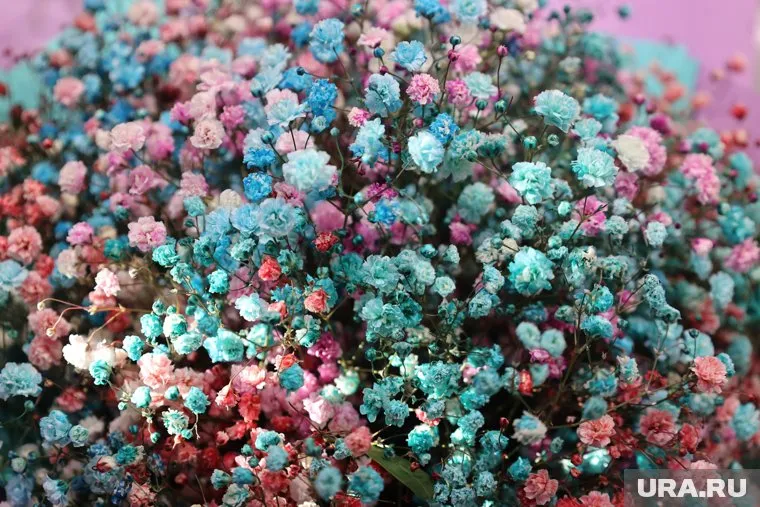 По подсчетам директора департамента ДРГХ Андрея Плешкова, на покупку цветов достаточно будет потратить по 150 рублей