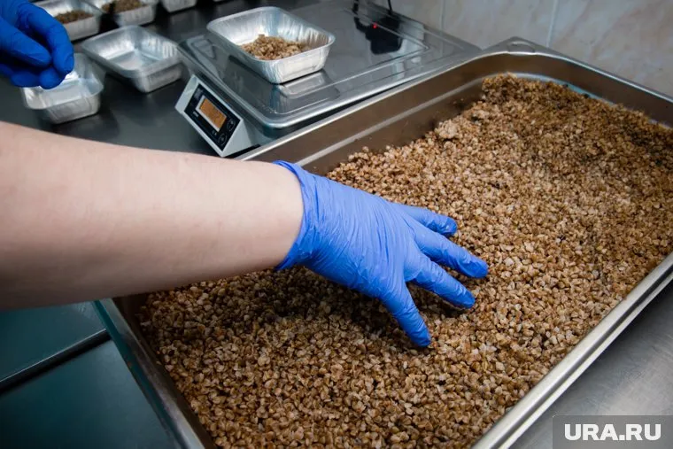 Правительство РФ запретило экспорт гречки с 5 июня по 31 августа