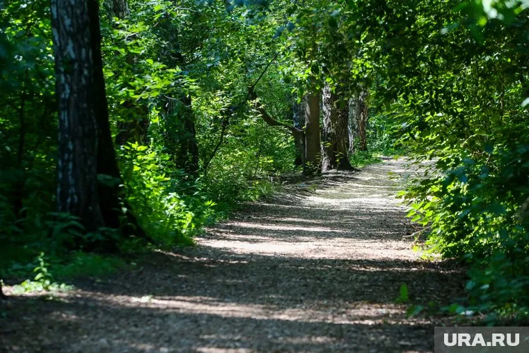 Тюменцы могут провести выходные на природе, не отъезжая далеко от города