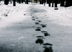 Двадцатилетний пермяк ушел из дома и пропал