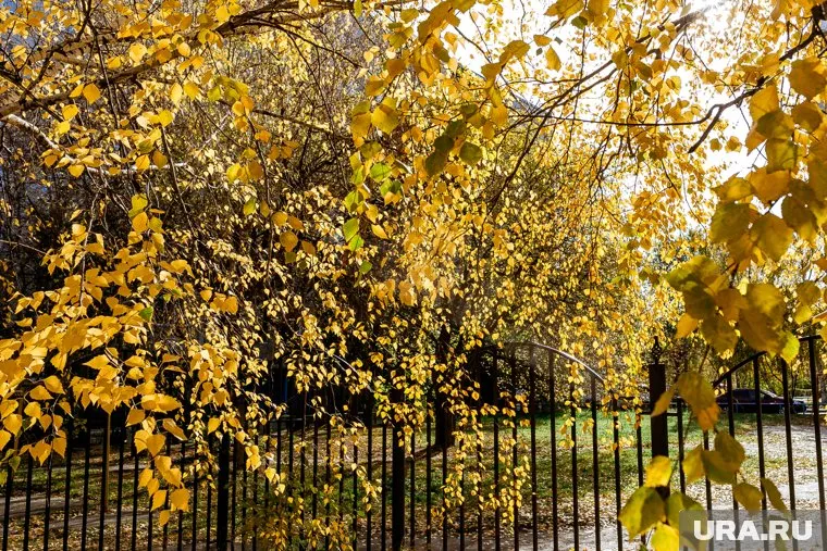 В некоторых регионах ожидается небольшая засуха