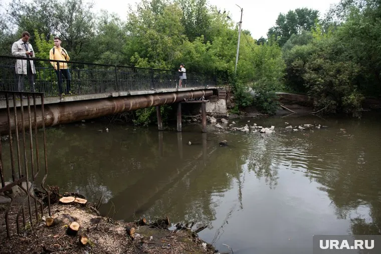 В Екатеринбурге попадание кипятка в реку Исеть привело к гибели рыб
