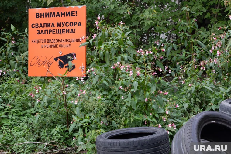 Возбуждены два уголовных дела