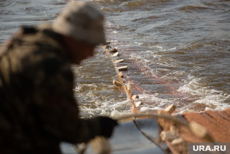 Инспектор Росрыболовства подделывал протоколы, чтобы улучшить показатели работы