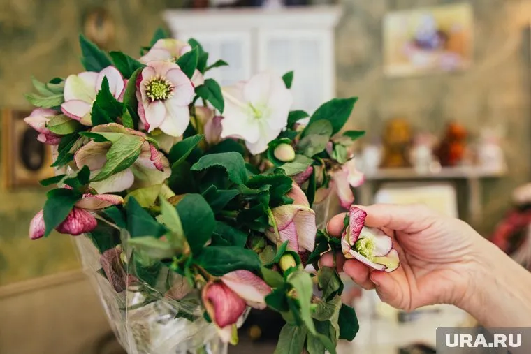 Пожаловаться на несвежий букет можно через сайт магазина