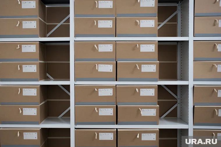 С 2023 года он работал заместителем руководителя Агентства по делам архивов Пермского края