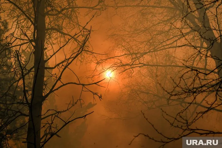 Активность на Солнце выросла за последние несколько дней