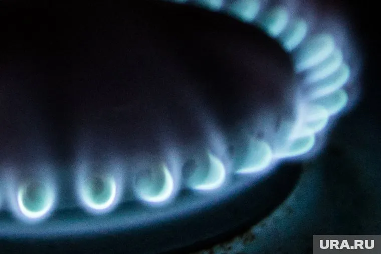 GASUM не принял условия российской стороны