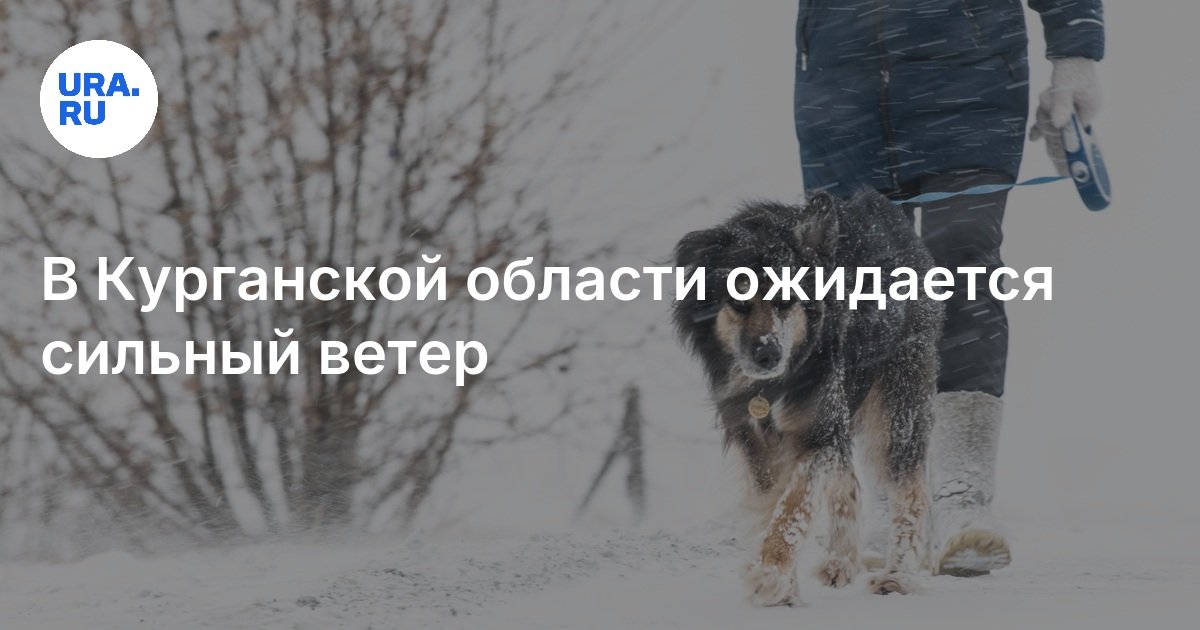 Погода в курганинске краснодарского на 10