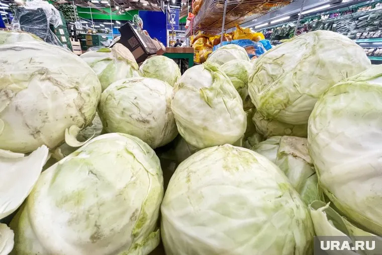 В Курганской области дешевеют овощи и фрукты