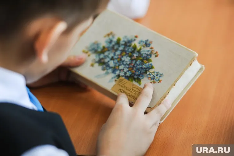 В инциденте разбирается районный департамент образования