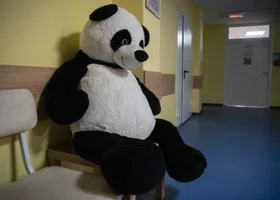 Детский омбудсмен раскрыла, где сейчас находятся дети из свердловского рехаба