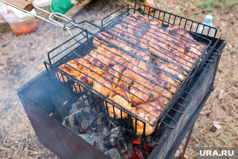 С 30 апреля в регионе запрещено разводить костры и жарить шашлыки на природе
