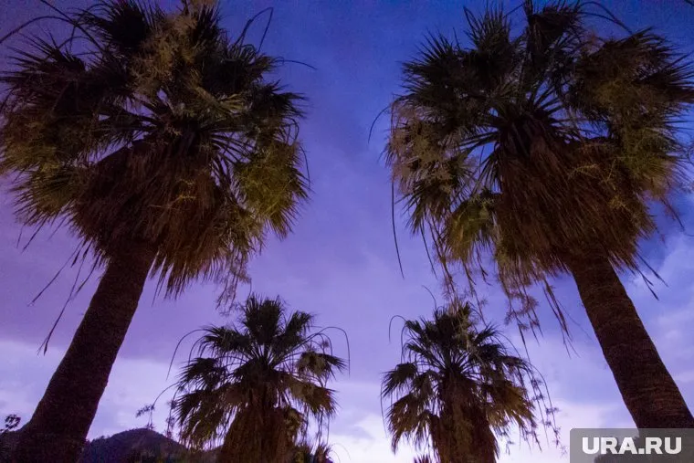 Ребенок появился на свет в Турции в 2023 году