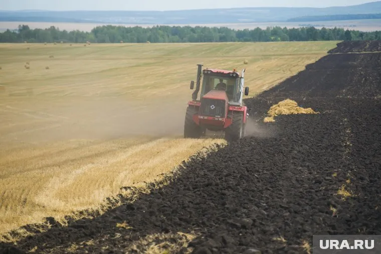 Несмотря на проблему с топливом, темпы уборки урожая в УрФО высокие