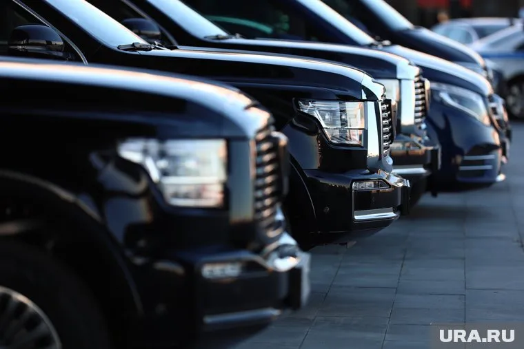 Самые популярные в регионе - гибриды марки Tank