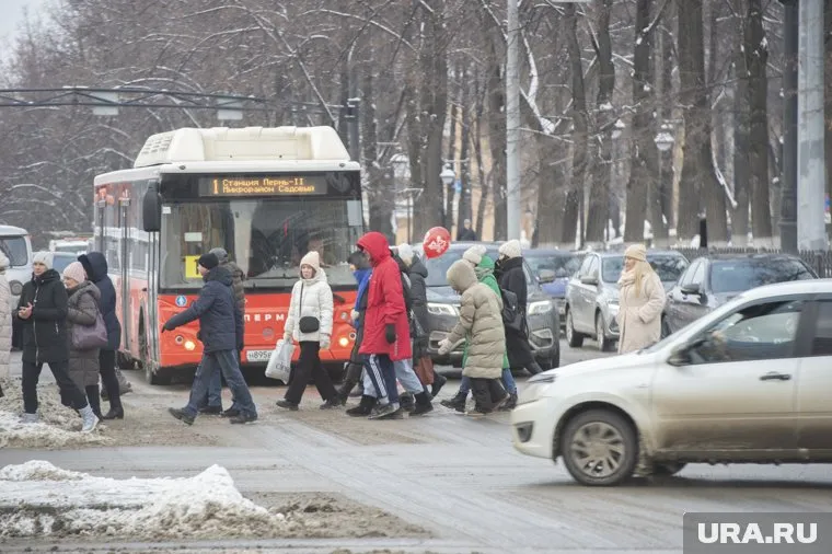 В Перми автобусы мешают детям переходить дорогу у школы №82, заявила Ольга Тетерина