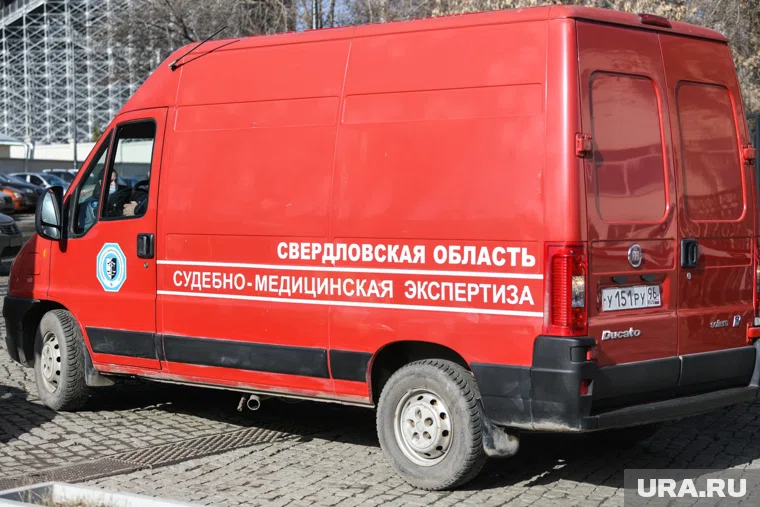 По словам специалистов, останки идентифицированы как принадлежащие мужчине (архивное фото)