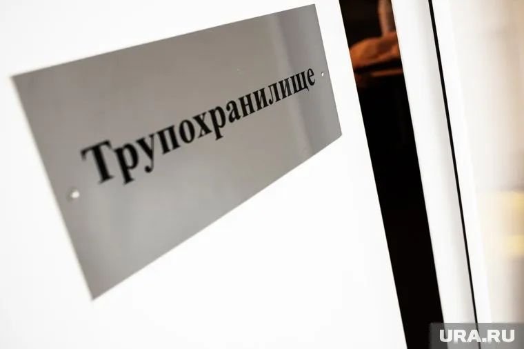 Найденные невостребованные трупы подрядчик обязан доставлять в городской морг