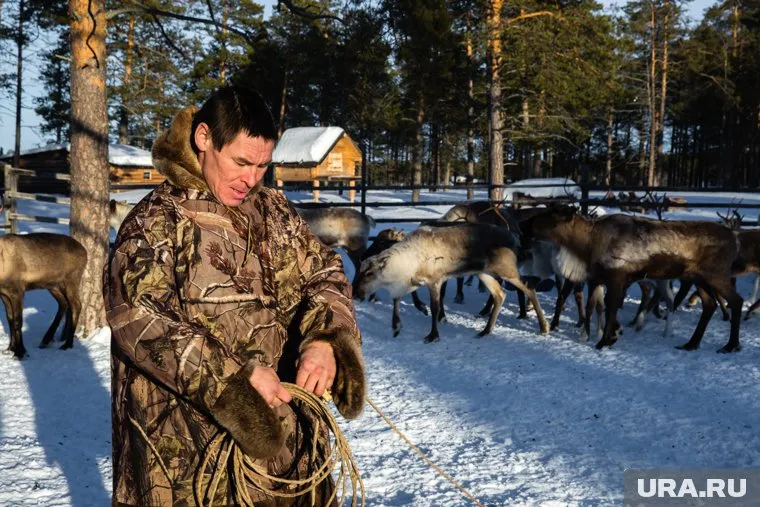 Фермер из ЯНАО  не смог доказать свою правоту в суде (архивное фото) 