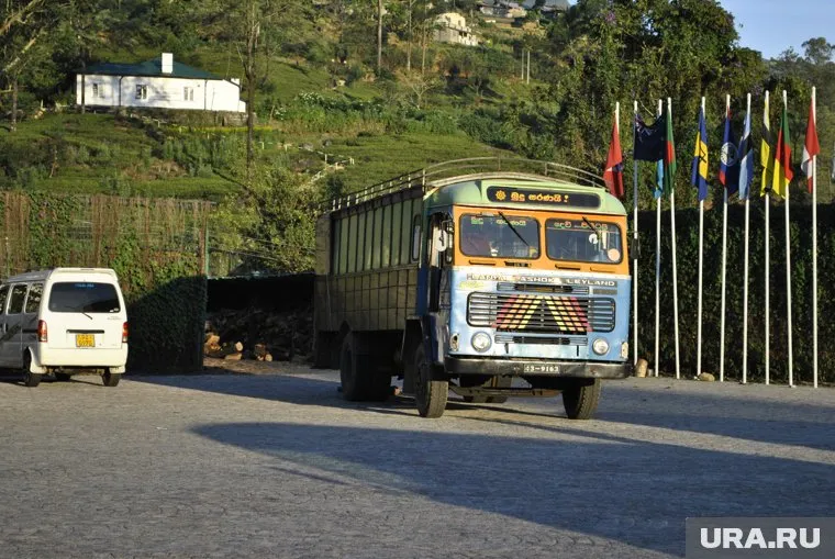 ДТП на Шри-Ланке произошло вечером, по предварительной информации из-за переутомления водителя