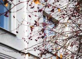 В Челябинск нагрянет снег и минусовая температура