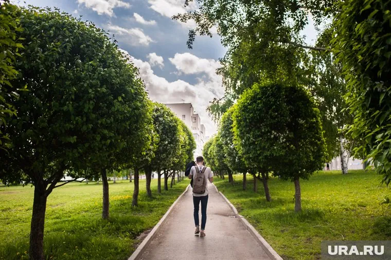 Стоимость озеленения упала на аукционе почти вдвое