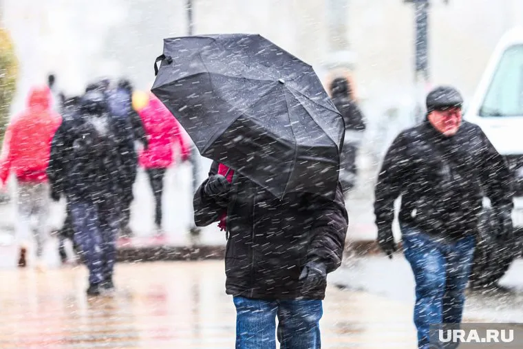 Первый снег сразу выпал в большом количестве