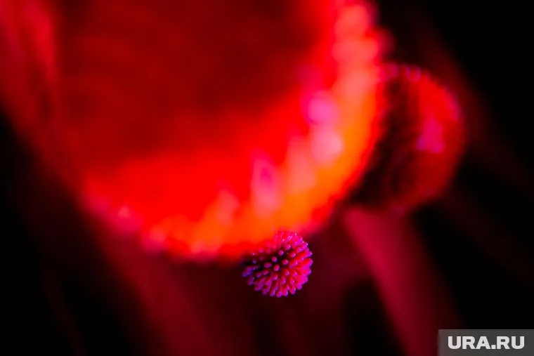 Мужчина скончался в Надымской ЦРБ