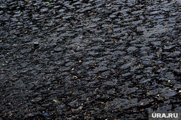 Столицу Камчатки накрыло пепловым облаком от вулкана Безымянный