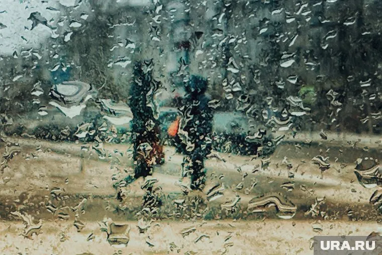 В Курганской области вероятность осадков составит до 79%