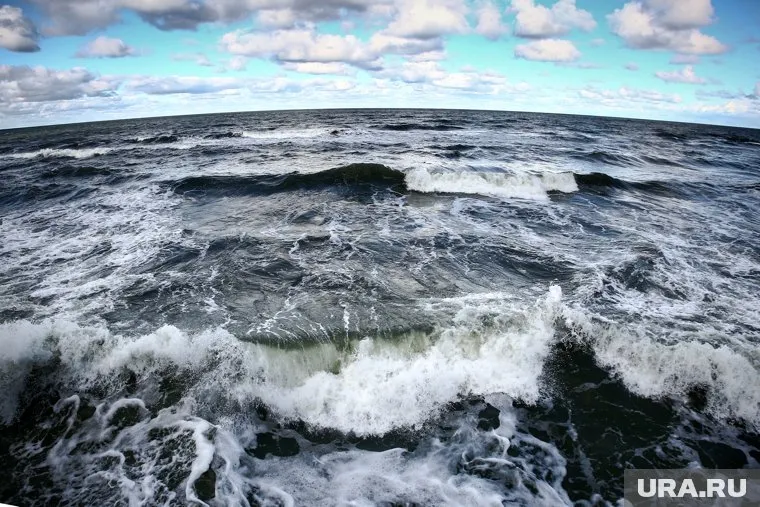 Четыре утечки на газопроводах обнаружили в шведских и датских водах