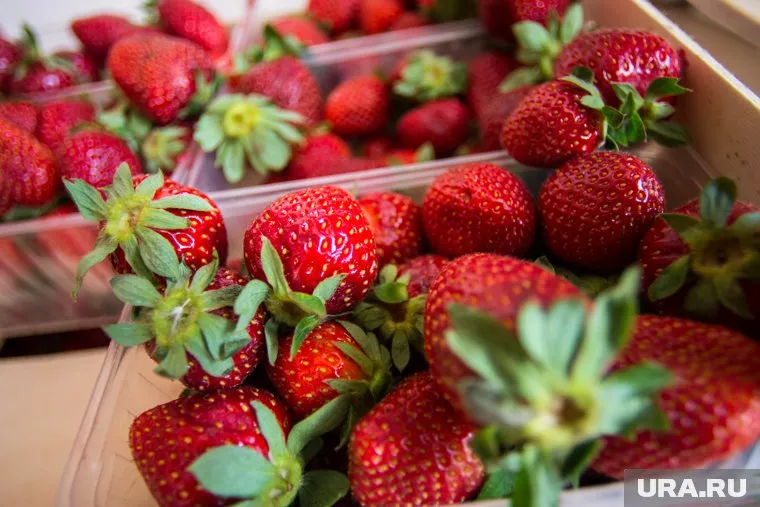 Доля ягод на внутреннем рынке в прошлом году составила всего 36%