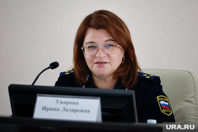 Реестр должников по алиментам заработал с 25 мая