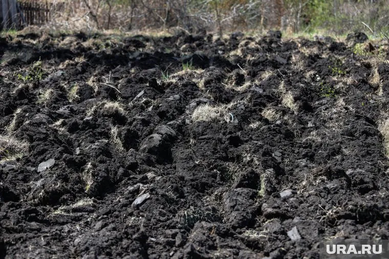 На почве оказались являющиеся побочными опасные продукты животноводства