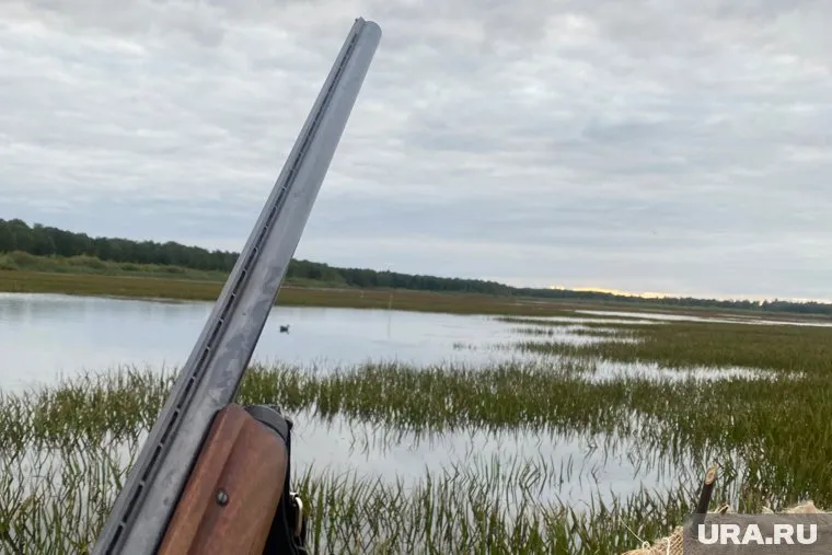 С 15 мая начинается сезон весенней охоты на дичь в Курганской области