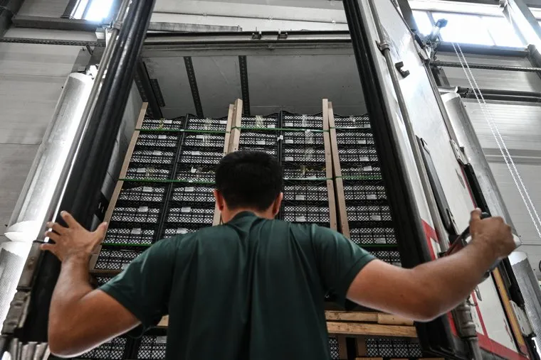 Таможенный контроль плодовоовощной продукции. Екатеринбург