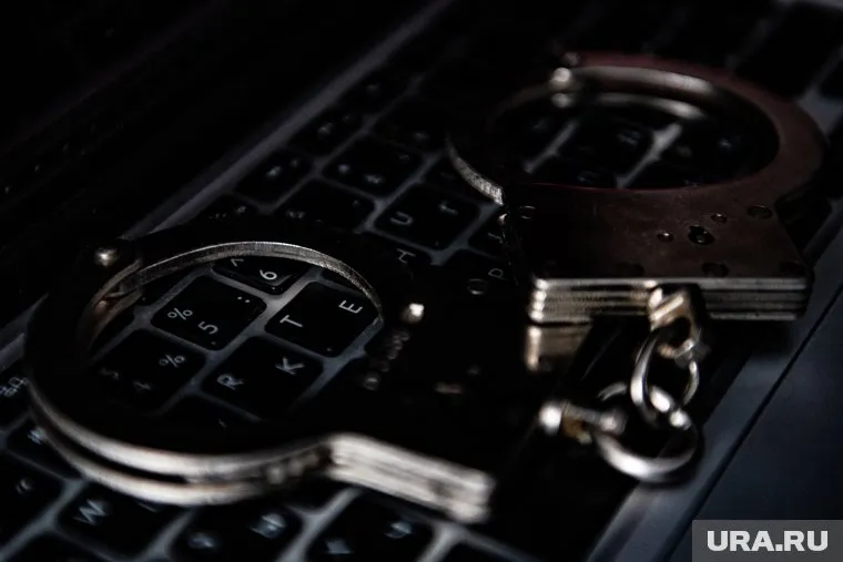 МВД и Роскомнадзору поручено проработать наказание для мошенников