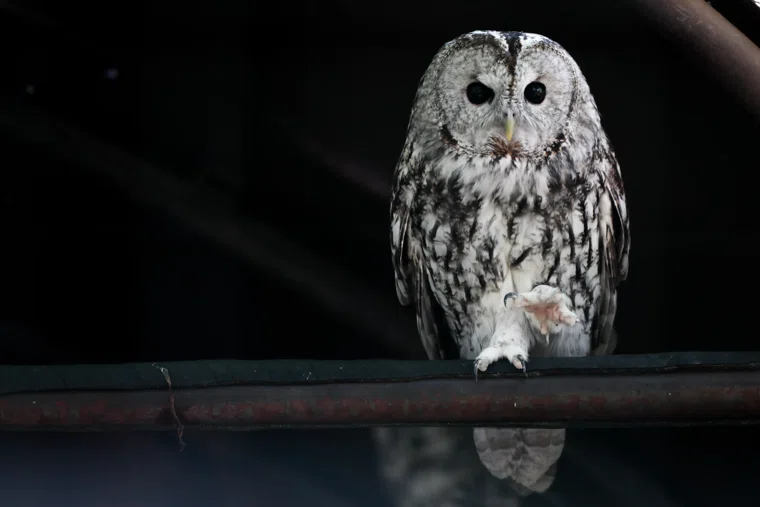 Дмитрий умер 6 декабря от инсульта