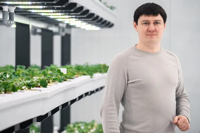 Вертикальная городская ферма AgroTechFarm. Екатеринбург
