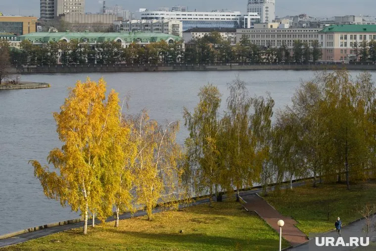 В Екатеринбурге 8 октября ожидается ветер с порывами до 12 метров в секунду