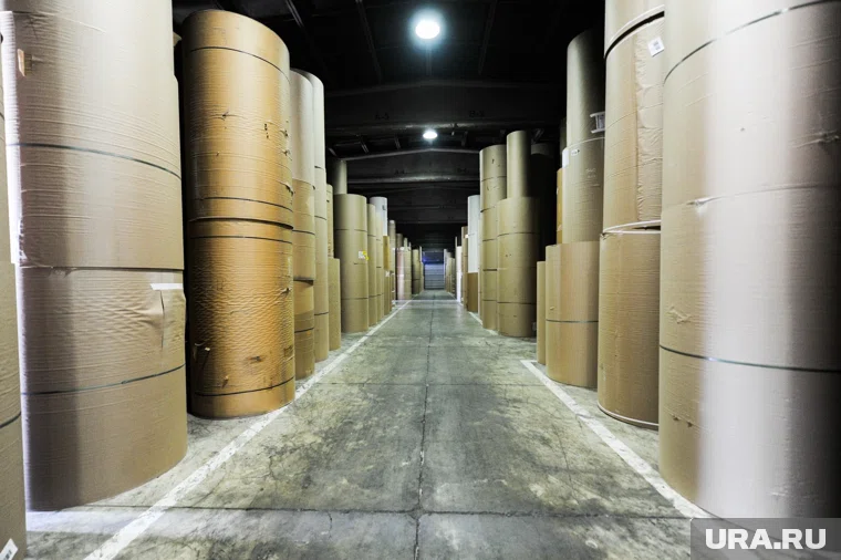 Завод выпускает бумагу и картон (архивное фото)