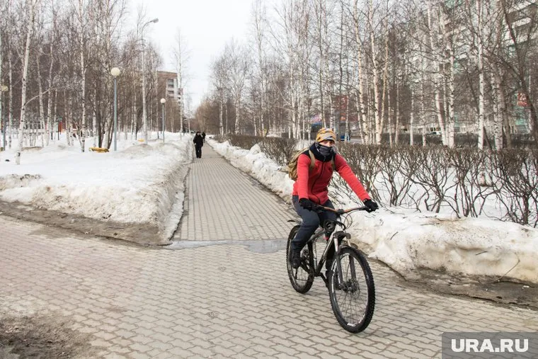 В Югре зарегистрировано 19 случаев заражения коронавирусной инфекции