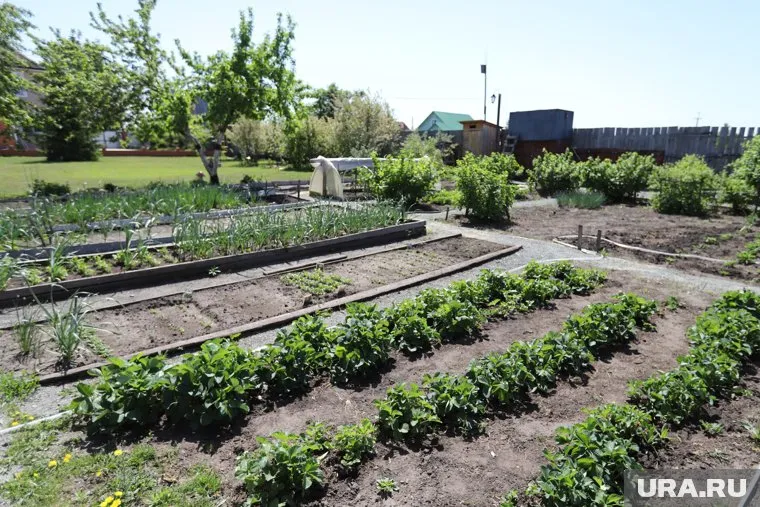 В Кургане женщина не могла беспрепятственно попасть в свой огород (архивное фото)